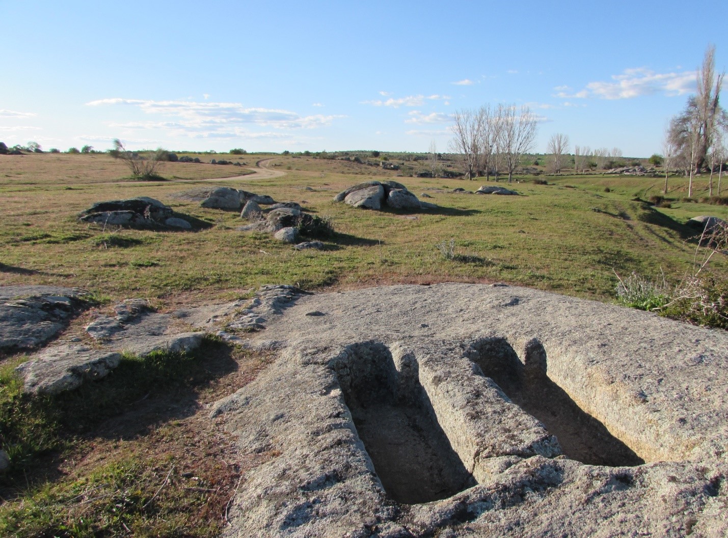 tumbas antropoformas