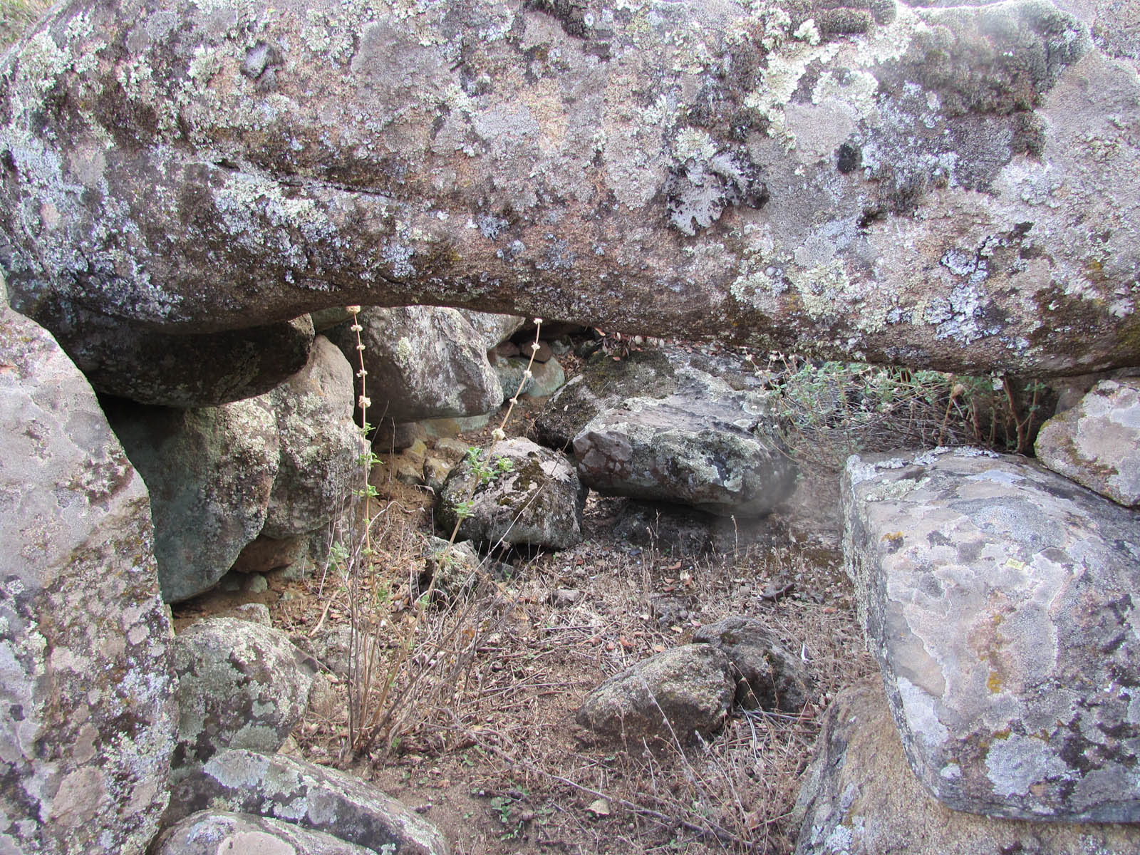 Vista Interior (3) Vista Interior (3)