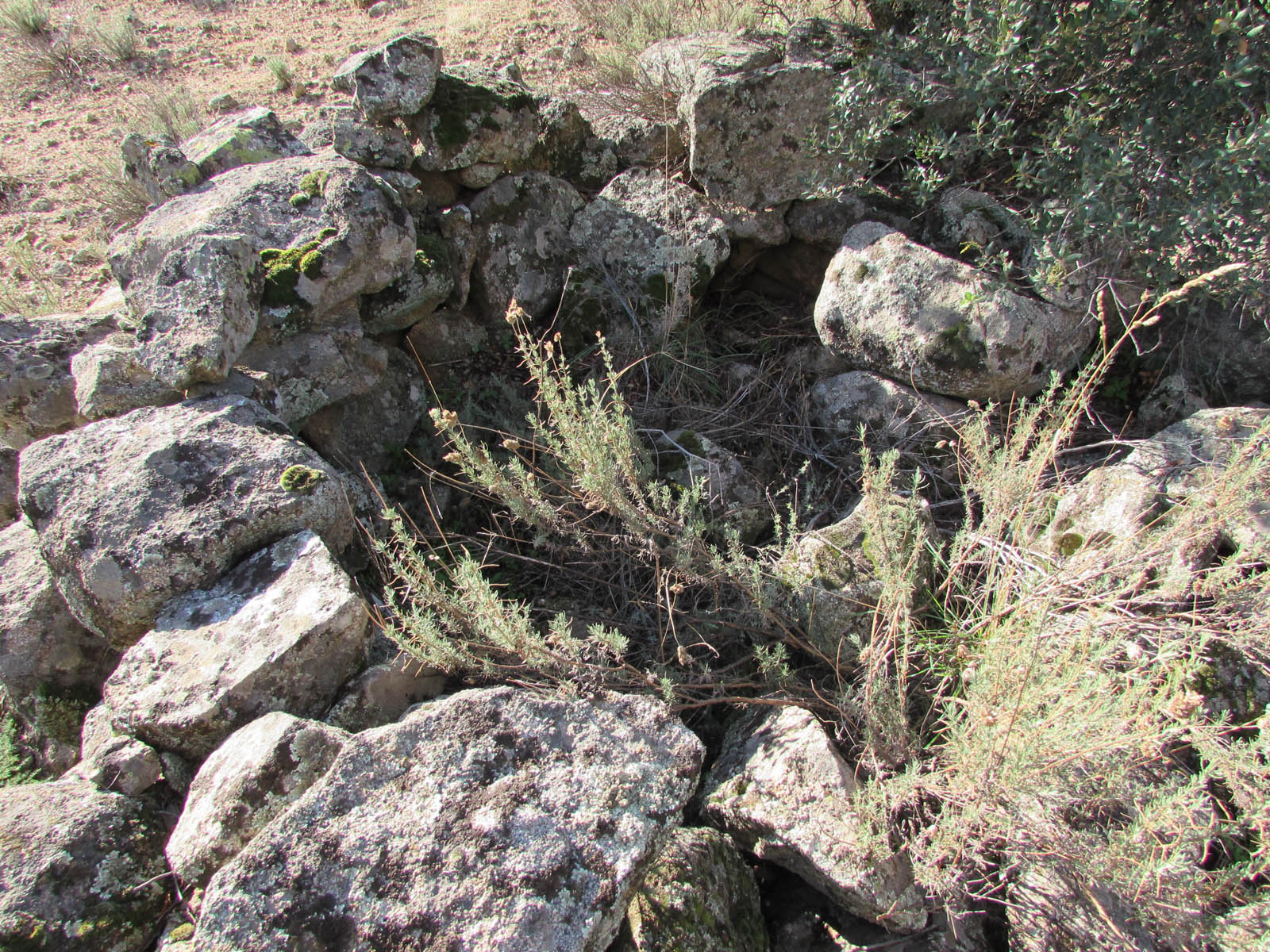 Refugio (4) Refugio (4)