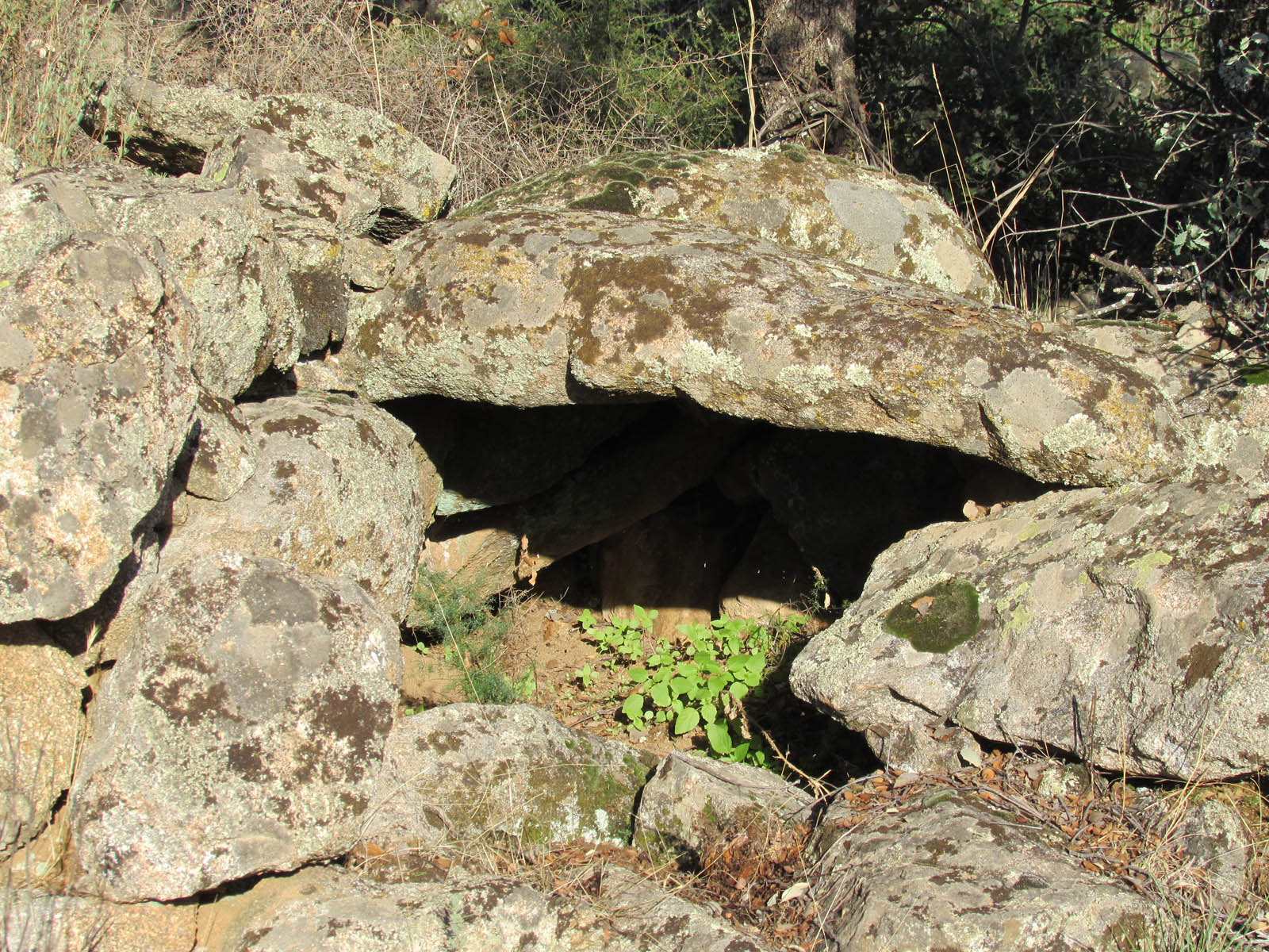 Vista galería (4) Vista galería (4)