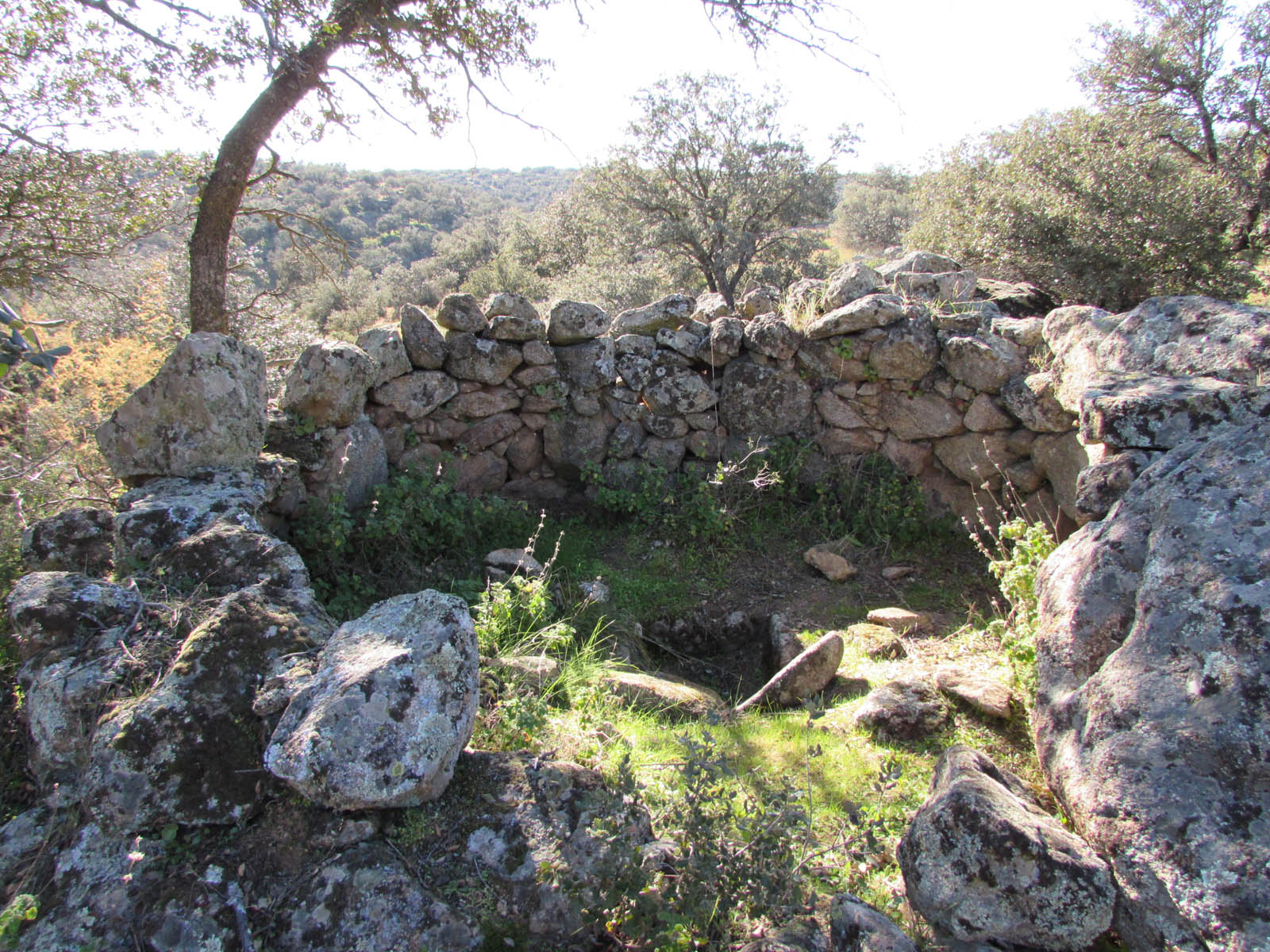 Estructura C (1) Estructura C (1)