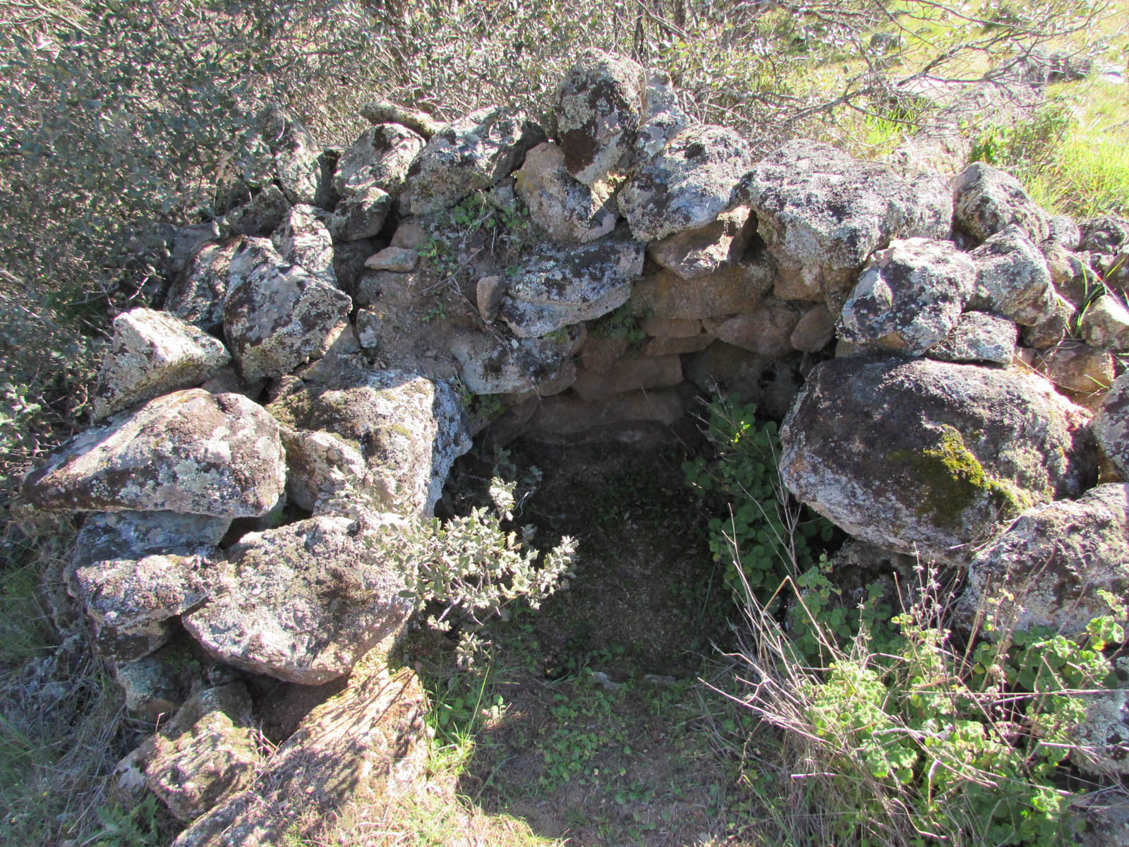 Estructura B (1) Estructura B (1)