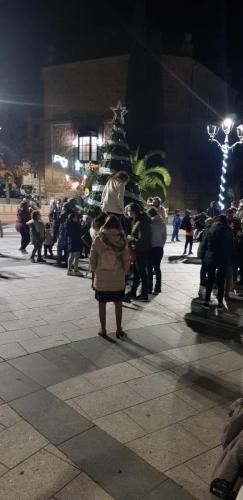 Encendido del Gran Árbol Navidad 2021