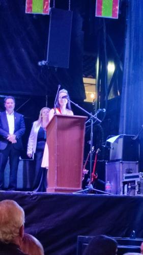 Presentación. Reinas, Damas y Mister. Cristo 2022.