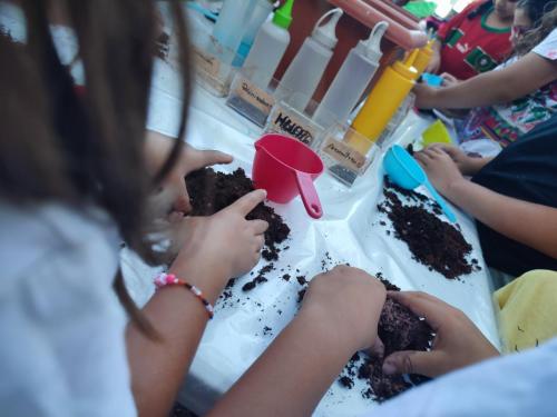 Taller de semillas Bombs