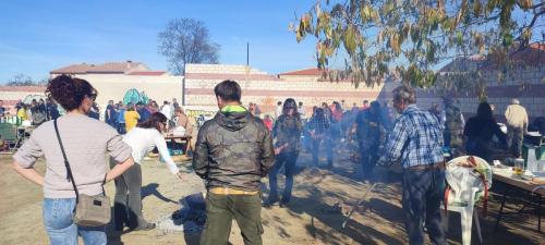 10 (1) (1) (1) (1) (1) (1)