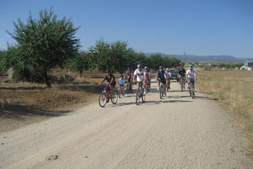 Ruta 2010