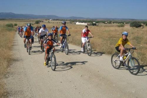 20101104 1871687391 rutac 09-min