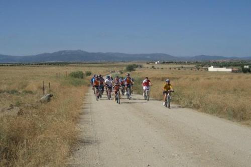 20101104 1975390258 rutac 08-min