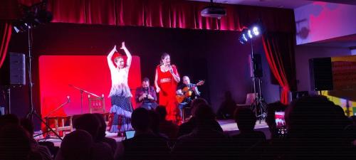 20 (1) (1) (1) (1) (1) (1)