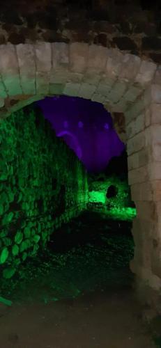 258835763 392327229256060 8338352850753703849 n