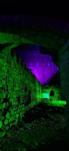 258844947 392327259256057 6697483543167247384 n