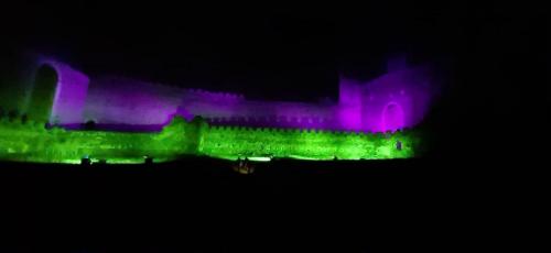 259471159 392327152589401 1650403250864392734 n