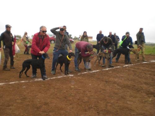 Carrera Galgos 2022