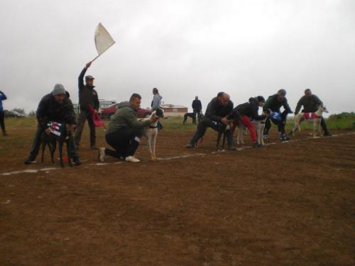 Carrera Galgos 2022