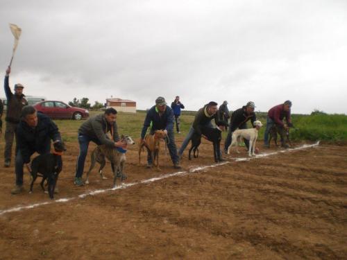 Carrera Galgos 2022