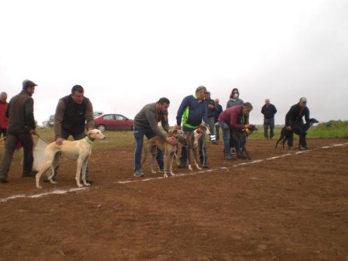 Carrera Galgos 2022
