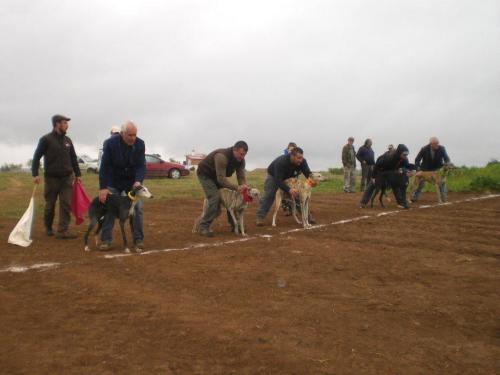 Carrera Galgos 2022