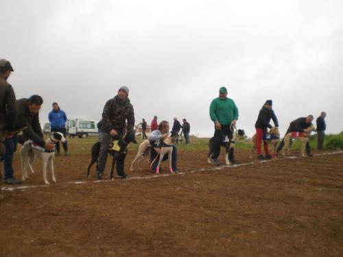 Carrera Galgos 2022