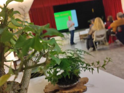 Navidad 2022-Club Bonsai