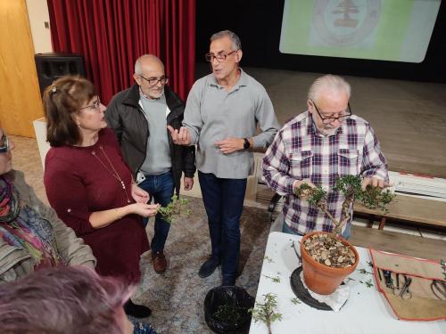 Navidad 2022-Club Bonsai