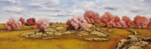 Mi Tierra, Mis Piedras, Mi Sitio