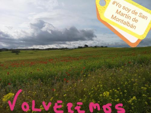 Foto Studio Montalhome