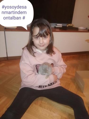 Foto Studio Montalhome