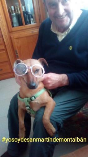 Foto Studio Montalhome