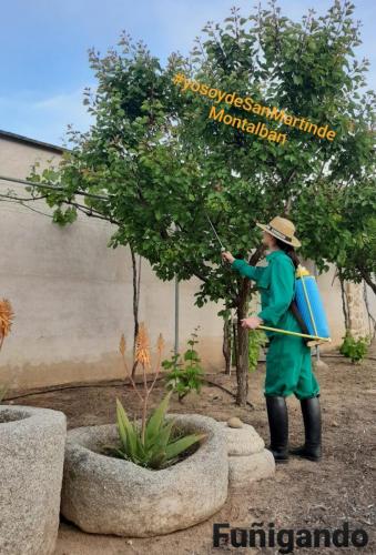 Foto Studio Montalhome