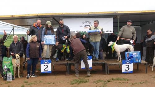 Carrera Galgos 2022