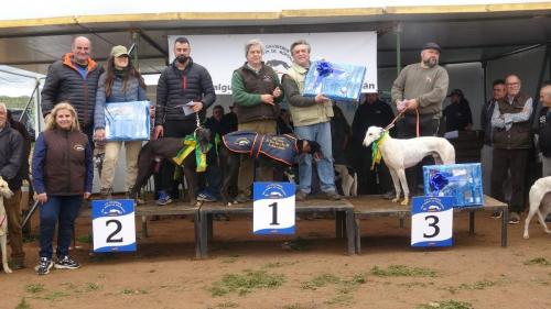 Carrera Galgos 2022