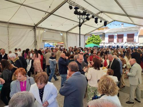 Fiestas del Cristo 2024