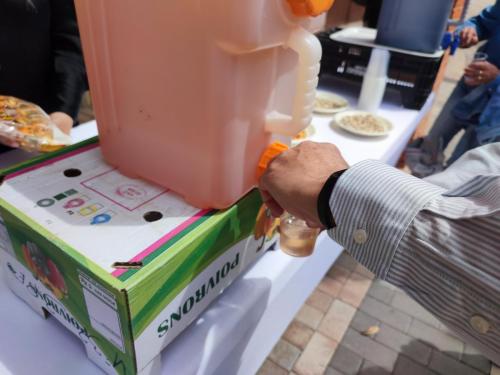 Fiestas del Cristo 2024