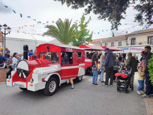 Fiestas del Cristo 2024