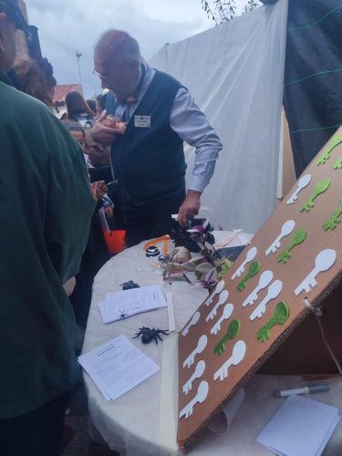 1 Premio concurso de fachadas. Halloween 2025